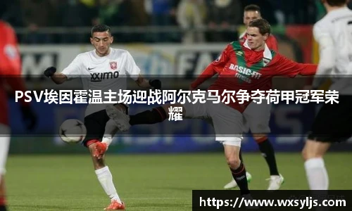 XK星空官方网站